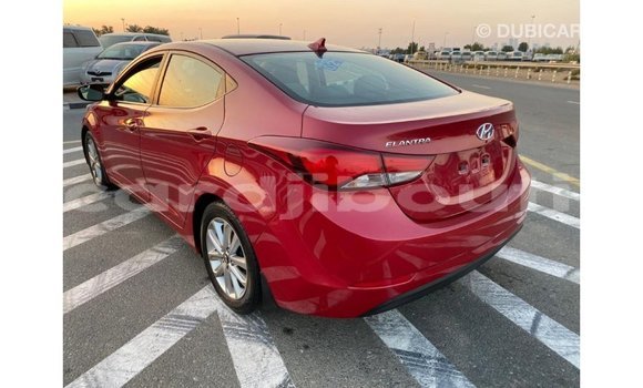 Buy Import Hyundai Elantra Red Car in Import - Dubai in Ali Sabieh Region Buy Import Hyundai Elantra Red Car in Import - Dubai in Ali Sabieh Region