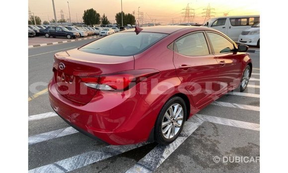 Buy Import Hyundai Elantra Red Car in Import - Dubai in Ali Sabieh Region Buy Import Hyundai Elantra Red Car in Import - Dubai in Ali Sabieh Region