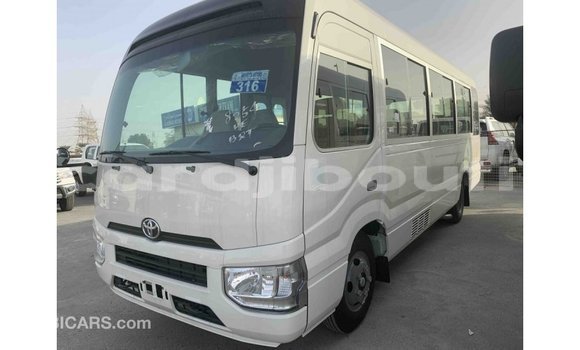 Buy Import Toyota Coaster White Car in Import - Dubai in Ali Sabieh Region Buy Import Toyota Coaster White Car in Import - Dubai in Ali Sabieh Region