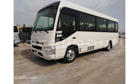 Buy Import Toyota Coaster White Car in Import - Dubai in Ali Sabieh Region Buy Import Toyota Coaster White Car in Import - Dubai in Ali Sabieh Region