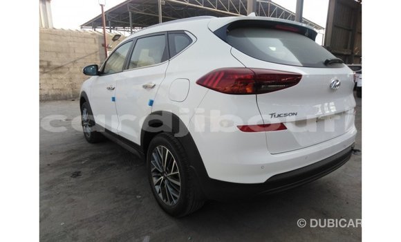 Acheter Import Voiture Hyundai Tucson Blanc à Import - Dubai, Ali Sabieh Region Acheter Import Voiture Hyundai Tucson Blanc à Import - Dubai, Ali Sabieh Region