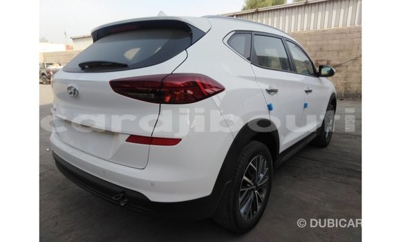 Acheter Import Voiture Hyundai Tucson Blanc à Import - Dubai, Ali Sabieh Region Acheter Import Voiture Hyundai Tucson Blanc à Import - Dubai, Ali Sabieh Region
