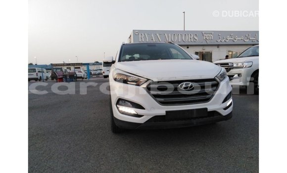 Acheter Import Voiture Hyundai Tucson Blanc à Import - Dubai, Ali Sabieh Region Acheter Import Voiture Hyundai Tucson Blanc à Import - Dubai, Ali Sabieh Region
