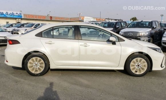 Acheter Import Voiture Toyota Corolla Blanc à Import - Dubai, Ali Sabieh Region Acheter Import Voiture Toyota Corolla Blanc à Import - Dubai, Ali Sabieh Region