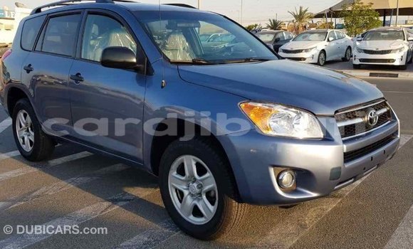 Buy Import Toyota RAV4 Blue Car in Import - Dubai in Ali Sabieh Region Buy Import Toyota RAV4 Blue Car in Import - Dubai in Ali Sabieh Region