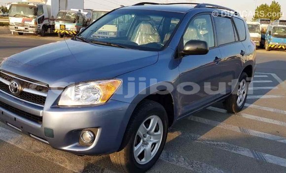 Buy Import Toyota RAV4 Blue Car in Import - Dubai in Ali Sabieh Region Buy Import Toyota RAV4 Blue Car in Import - Dubai in Ali Sabieh Region