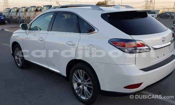 Buy Import Lexus RX 350 White Car in Import - Dubai in Ali Sabieh Region Buy Import Lexus RX 350 White Car in Import - Dubai in Ali Sabieh Region