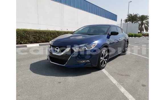 Buy Import Nissan Maxima Blue Car in Import - Dubai in Ali Sabieh Region Buy Import Nissan Maxima Blue Car in Import - Dubai in Ali Sabieh Region