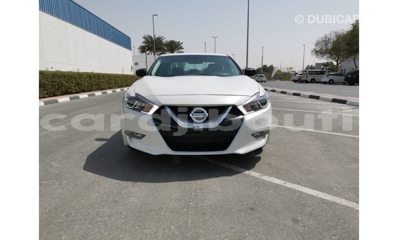 Buy Import Nissan Maxima White Car in Import - Dubai in Ali Sabieh Region Buy Import Nissan Maxima White Car in Import - Dubai in Ali Sabieh Region