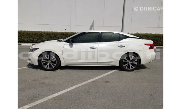 Buy Import Nissan Maxima White Car in Import - Dubai in Ali Sabieh Region Buy Import Nissan Maxima White Car in Import - Dubai in Ali Sabieh Region