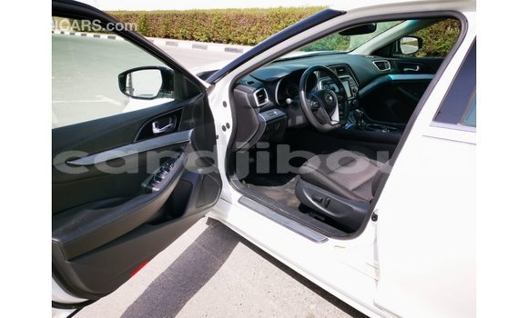 Buy Import Nissan Maxima White Car in Import - Dubai in Ali Sabieh Region Buy Import Nissan Maxima White Car in Import - Dubai in Ali Sabieh Region