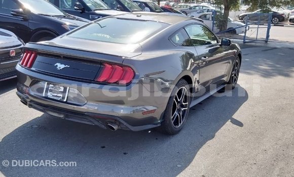 Acheter Import Voiture Ford Mustang Autre à Import - Dubai, Ali Sabieh Region Acheter Import Voiture Ford Mustang Autre à Import - Dubai, Ali Sabieh Region