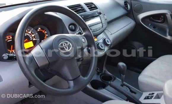 Buy Import Toyota RAV4 Red Car in Import - Dubai in Ali Sabieh Region Buy Import Toyota RAV4 Red Car in Import - Dubai in Ali Sabieh Region