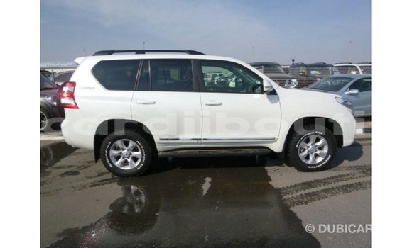 Acheter Import Voiture Toyota Prado Blanc à Import - Dubai, Ali Sabieh Region Acheter Import Voiture Toyota Prado Blanc à Import - Dubai, Ali Sabieh Region