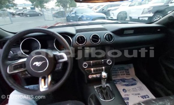 Acheter Import Voiture Ford Mustang Rouge à Import - Dubai, Ali Sabieh Region Acheter Import Voiture Ford Mustang Rouge à Import - Dubai, Ali Sabieh Region