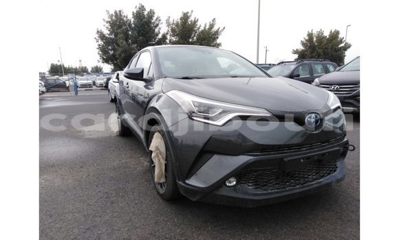 Buy Import Toyota C-HR Other Car in Import - Dubai in Ali Sabieh Region Buy Import Toyota C-HR Other Car in Import - Dubai in Ali Sabieh Region