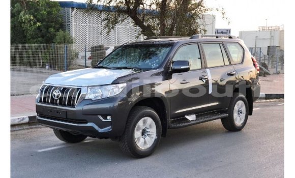 Buy Import Toyota Prado Other Car in Import - Dubai in Ali Sabieh Region Buy Import Toyota Prado Other Car in Import - Dubai in Ali Sabieh Region