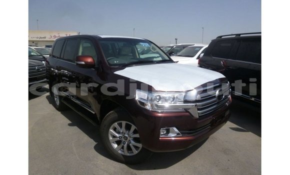 Acheter Import Voiture Toyota Land Cruiser Autre à Import - Dubai, Ali Sabieh Region Acheter Import Voiture Toyota Land Cruiser Autre à Import - Dubai, Ali Sabieh Region