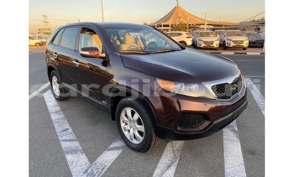 Buy Import Kia Sorento Brown Car in Import - Dubai in Ali Sabieh Region Buy Import Kia Sorento Brown Car in Import - Dubai in Ali Sabieh Region