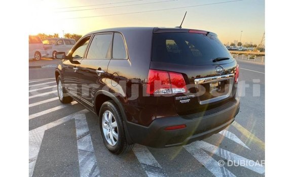 Buy Import Kia Sorento Brown Car in Import - Dubai in Ali Sabieh Region Buy Import Kia Sorento Brown Car in Import - Dubai in Ali Sabieh Region