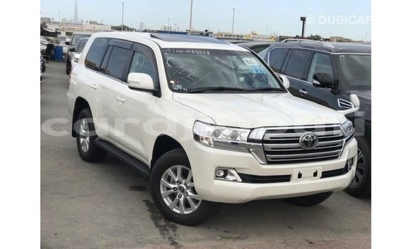 Acheter Import Voiture Toyota Land Cruiser Blanc à Import - Dubai, Ali Sabieh Region Acheter Import Voiture Toyota Land Cruiser Blanc à Import - Dubai, Ali Sabieh Region