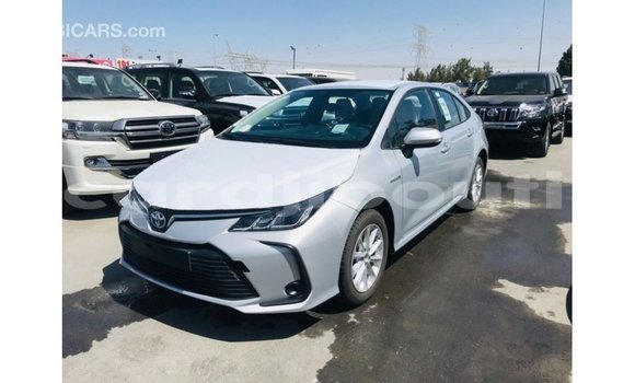 Buy Import Toyota Corolla White Car in Import - Dubai in Ali Sabieh Region Buy Import Toyota Corolla White Car in Import - Dubai in Ali Sabieh Region