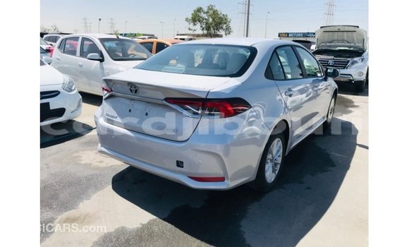 Buy Import Toyota Corolla White Car in Import - Dubai in Ali Sabieh Region Buy Import Toyota Corolla White Car in Import - Dubai in Ali Sabieh Region