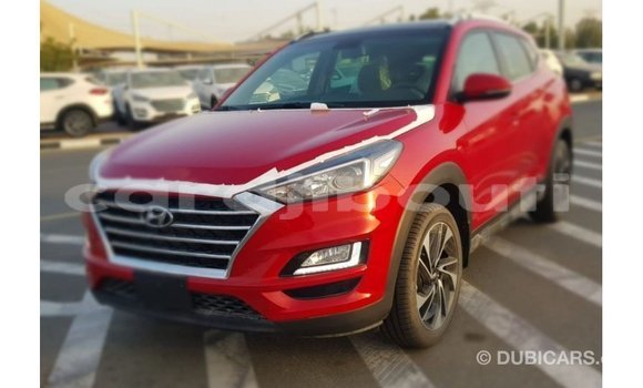 Buy Import Hyundai Tucson Red Car in Import - Dubai in Ali Sabieh Region Buy Import Hyundai Tucson Red Car in Import - Dubai in Ali Sabieh Region
