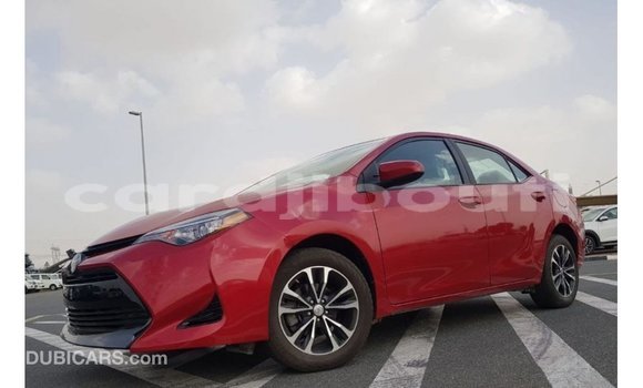 Buy Import Toyota Corolla Red Car in Import - Dubai in Ali Sabieh Region Buy Import Toyota Corolla Red Car in Import - Dubai in Ali Sabieh Region
