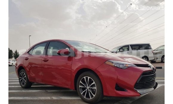 Buy Import Toyota Corolla Red Car in Import - Dubai in Ali Sabieh Region Buy Import Toyota Corolla Red Car in Import - Dubai in Ali Sabieh Region