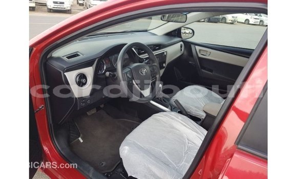 Buy Import Toyota Corolla Red Car in Import - Dubai in Ali Sabieh Region Buy Import Toyota Corolla Red Car in Import - Dubai in Ali Sabieh Region