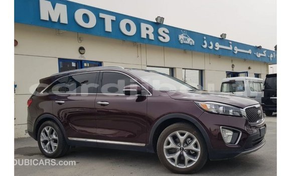 Buy Import Kia Sorento Red Car in Import - Dubai in Ali Sabieh Region Buy Import Kia Sorento Red Car in Import - Dubai in Ali Sabieh Region
