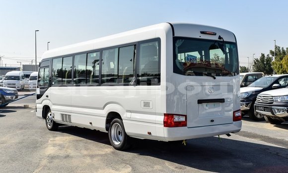 Acheter Import Voiture Toyota Coaster Blanc à Import - Dubai, Ali Sabieh Region Acheter Import Voiture Toyota Coaster Blanc à Import - Dubai, Ali Sabieh Region