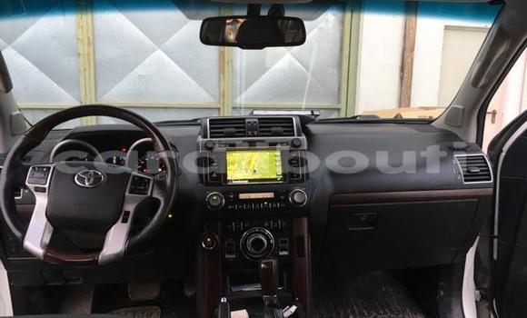 Buy Used Toyota Land Cruiser Green Car in Djibouti in Djibouti Region Buy Used Toyota Land Cruiser Green Car in Djibouti in Djibouti Region