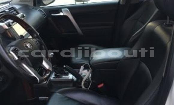 Buy Used Toyota Land Cruiser Green Car in Djibouti in Djibouti Region Buy Used Toyota Land Cruiser Green Car in Djibouti in Djibouti Region