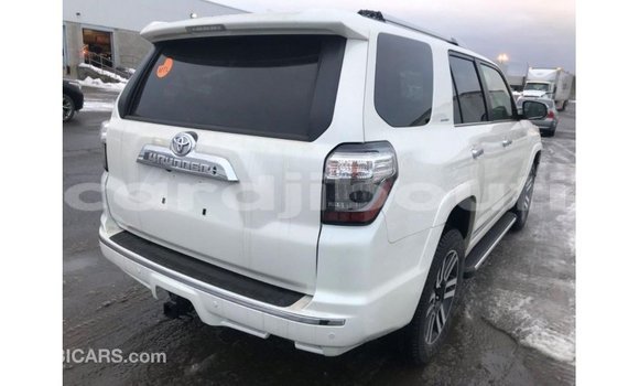 Acheter Import Voiture Toyota 4Runner Blanc à Import - Dubai, Ali Sabieh Region Acheter Import Voiture Toyota 4Runner Blanc à Import - Dubai, Ali Sabieh Region