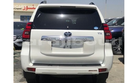 Acheter Import Voiture Toyota Prado Blanc à Import - Dubai, Ali Sabieh Region Acheter Import Voiture Toyota Prado Blanc à Import - Dubai, Ali Sabieh Region