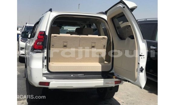 Acheter Import Voiture Toyota Prado Blanc à Import - Dubai, Ali Sabieh Region Acheter Import Voiture Toyota Prado Blanc à Import - Dubai, Ali Sabieh Region