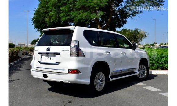 Acheter Import Voiture Lexus GX Blanc à Import - Dubai, Ali Sabieh Region Acheter Import Voiture Lexus GX Blanc à Import - Dubai, Ali Sabieh Region