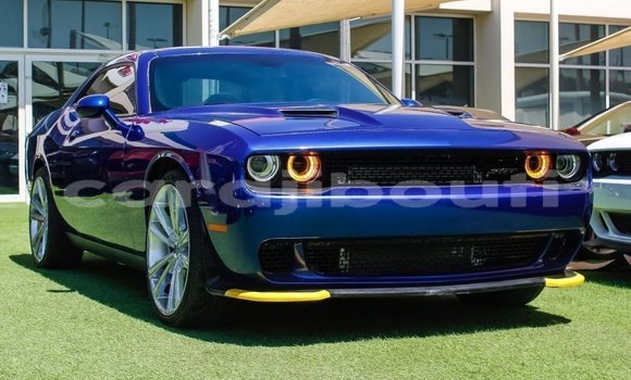 Acheter Import Voiture Dodge Challenger Bleu à Import - Dubai, Ali Sabieh Region