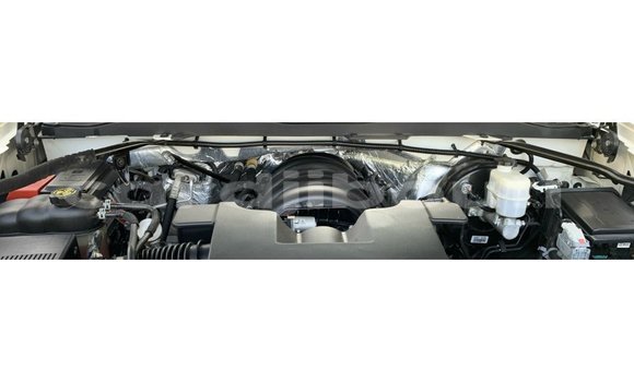 Buy Import Chevrolet Silverado White Car in Import - Dubai in Ali Sabieh Region Buy Import Chevrolet Silverado White Car in Import - Dubai in Ali Sabieh Region