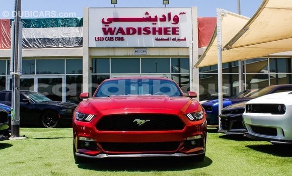Acheter Import Voiture Ford Mustang Rouge à Import - Dubai, Ali Sabieh Region Acheter Import Voiture Ford Mustang Rouge à Import - Dubai, Ali Sabieh Region