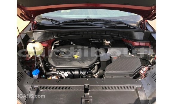 Buy Import Hyundai Tucson Red Car in Import - Dubai in Ali Sabieh Region Buy Import Hyundai Tucson Red Car in Import - Dubai in Ali Sabieh Region