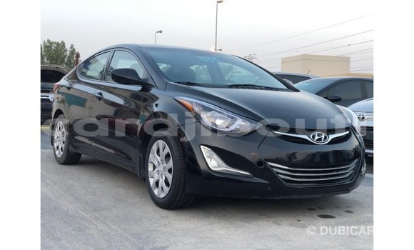 Buy Import Hyundai Elantra Black Car in Import - Dubai in Ali Sabieh Region Buy Import Hyundai Elantra Black Car in Import - Dubai in Ali Sabieh Region