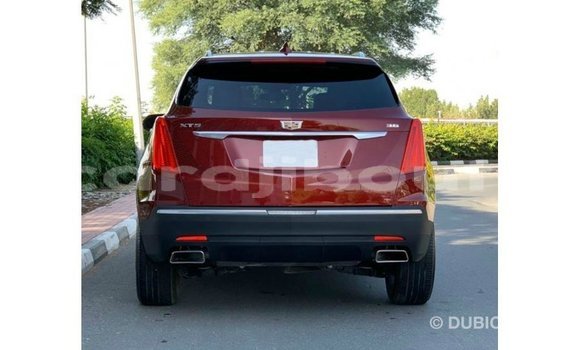 Acheter Import Voiture Cadillac XT5 Rouge à Import - Dubai, Ali Sabieh Region Acheter Import Voiture Cadillac XT5 Rouge à Import - Dubai, Ali Sabieh Region