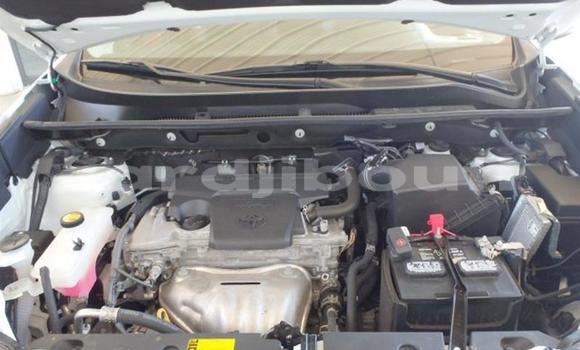 Buy Used Toyota RAV4 Green Car in Djibouti in Djibouti Region Buy Used Toyota RAV4 Green Car in Djibouti in Djibouti Region