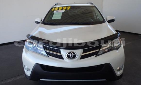 Buy Used Toyota RAV4 Green Car in Djibouti in Djibouti Region Buy Used Toyota RAV4 Green Car in Djibouti in Djibouti Region