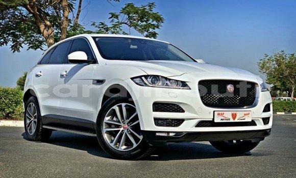 Acheter Import Voiture Jaguar F-Pace Blanc à Import - Dubai, Ali Sabieh Region