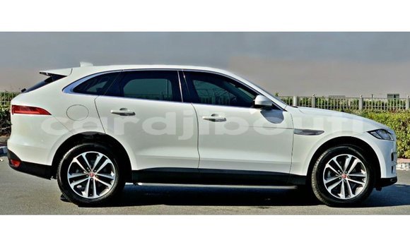 Acheter Import Voiture Jaguar F-Pace Blanc à Import - Dubai, Ali Sabieh Region Acheter Import Voiture Jaguar F-Pace Blanc à Import - Dubai, Ali Sabieh Region
