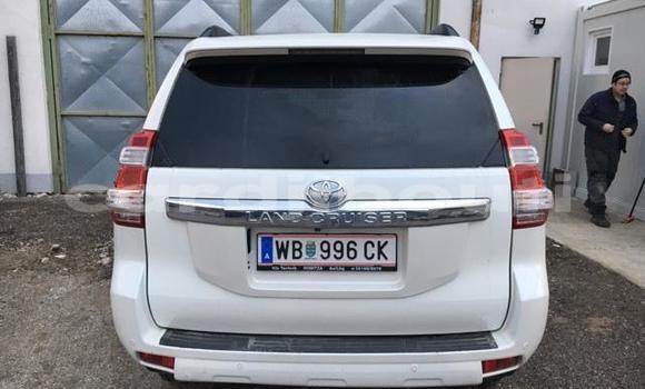 Buy Used Toyota RAV4 Green Car in Djibouti in Djibouti Region Buy Used Toyota RAV4 Green Car in Djibouti in Djibouti Region